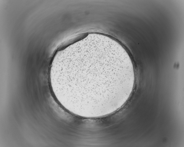 X0000112491500200909281121