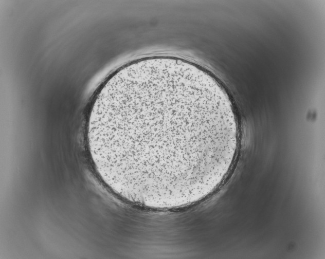 X0000112491502200909281121