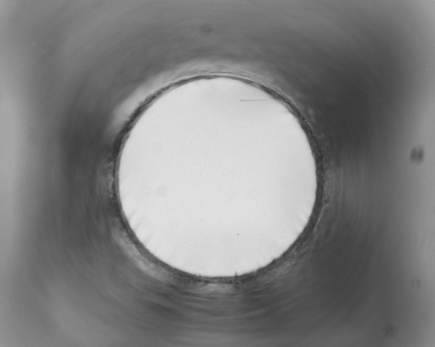 X0000112491503200909281121