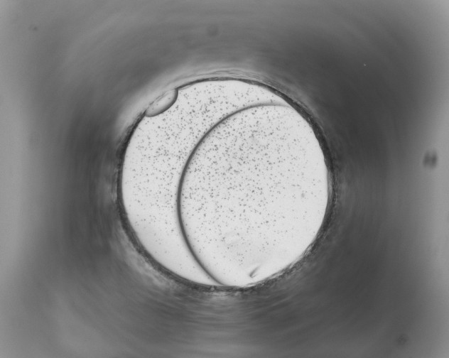 X0000112491504200909281121