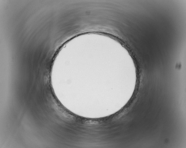 X0000112491505200909281121