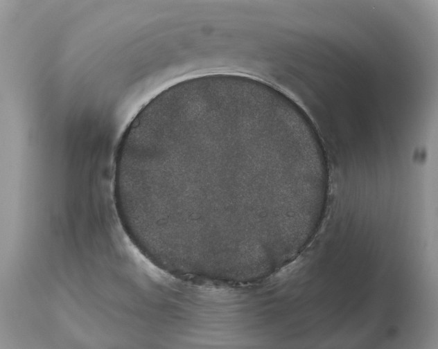 X0000112491508200909281121