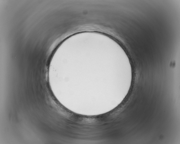 X0000112491509200909281121