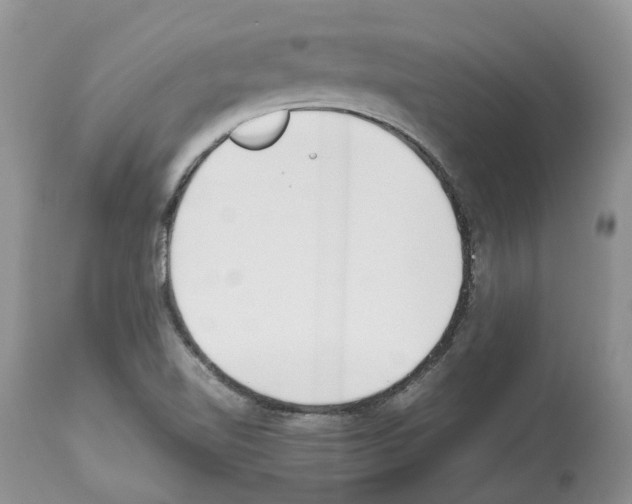 X0000112491510200909281121