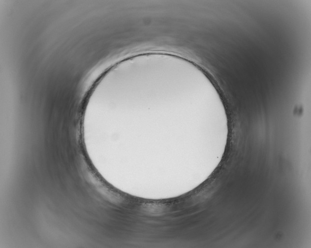 X0000112491511200909281121