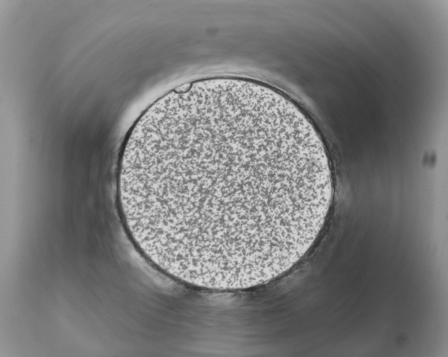 X0000112491512200909281121