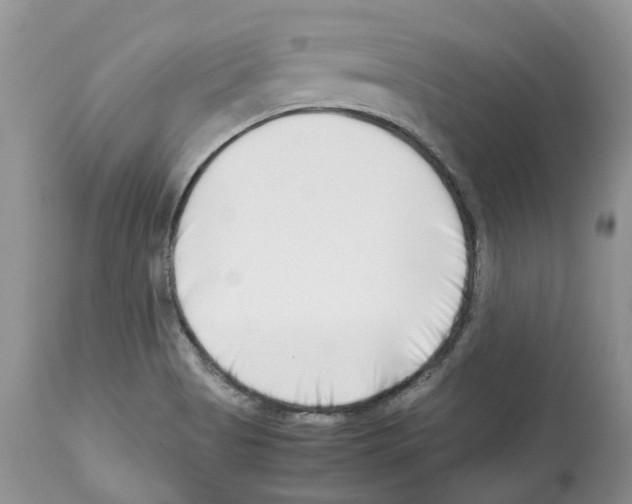 X0000112491513200909281121
