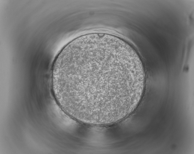 X0000112491514200909281121