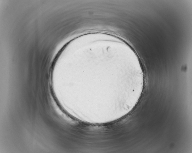 X0000112491515200909281121
