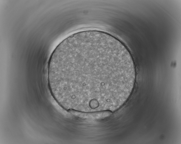 X0000112491516200909281121