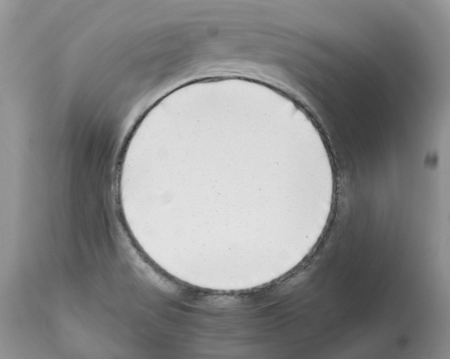 X0000112491517200909281121