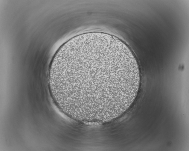X0000112491519200909281121