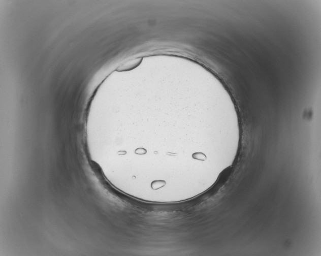 X0000112491520200909281121