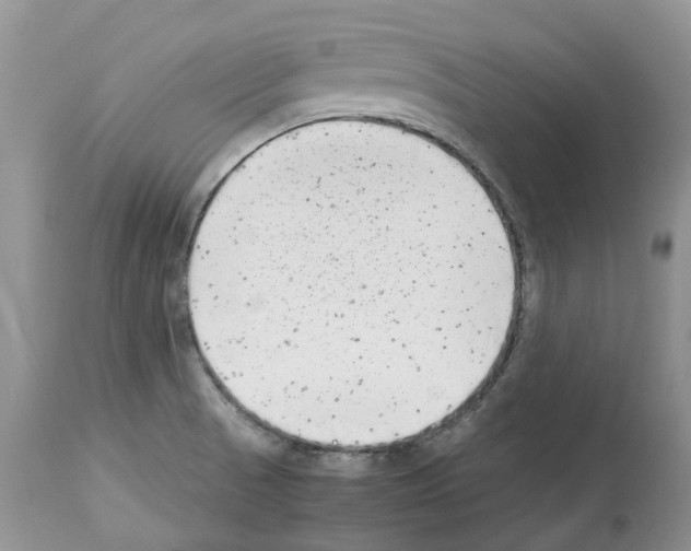 X0000112491521200909281121