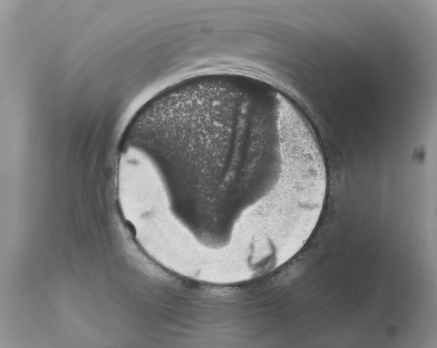 X0000112491522200909281121