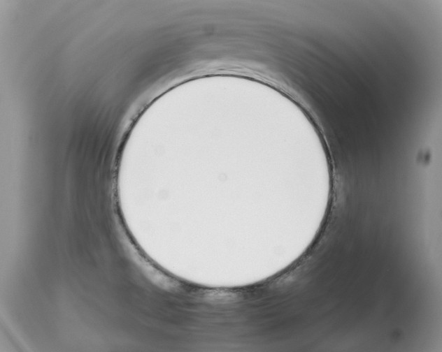 X0000112491525200909281121