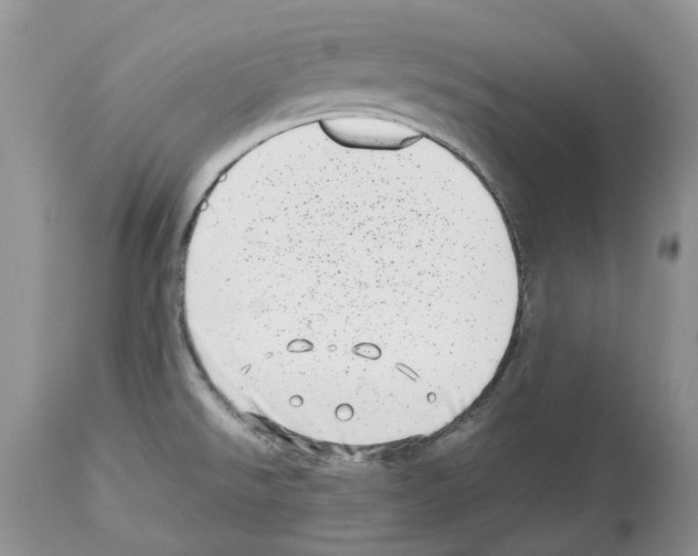 X0000112491526200909281121
