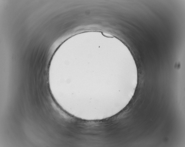 X0000112491527200909281121