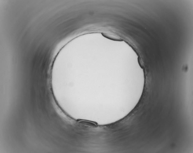 X0000112491528200909281121