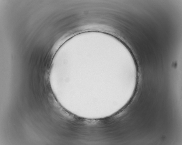 X0000112491529200909281121