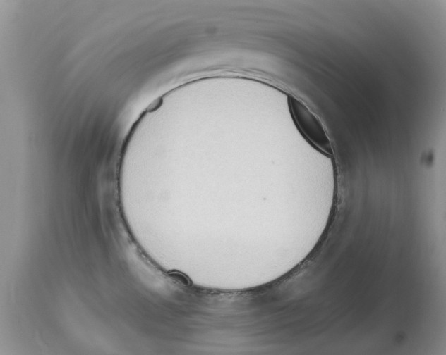 X0000112491530200909281121
