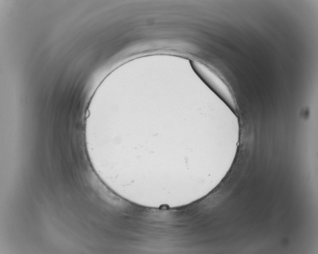 X0000112491532200909281121