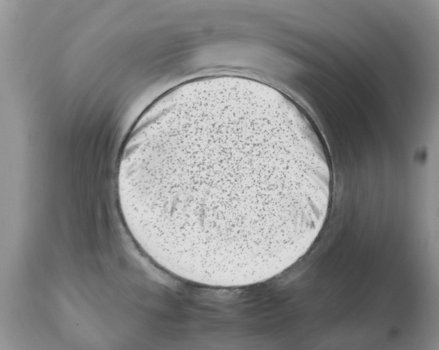 X0000112491533200909281121