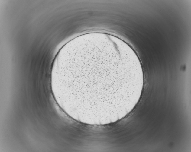 X0000112491534200909281121