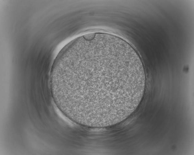 X0000112491535200909281121