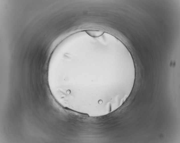 X0000112491536200909281121