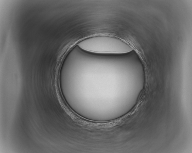 X0000112500001200908171020