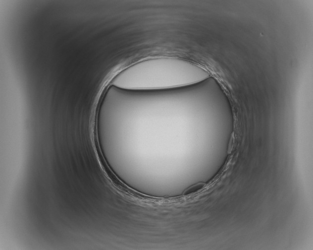 X0000112500003200908171020