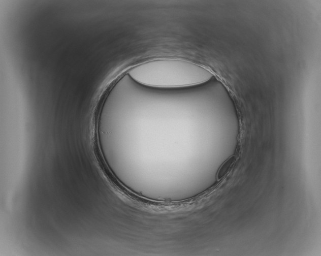 X0000112500005200908171020