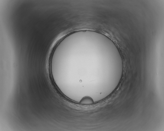 X0000112500006200908171020