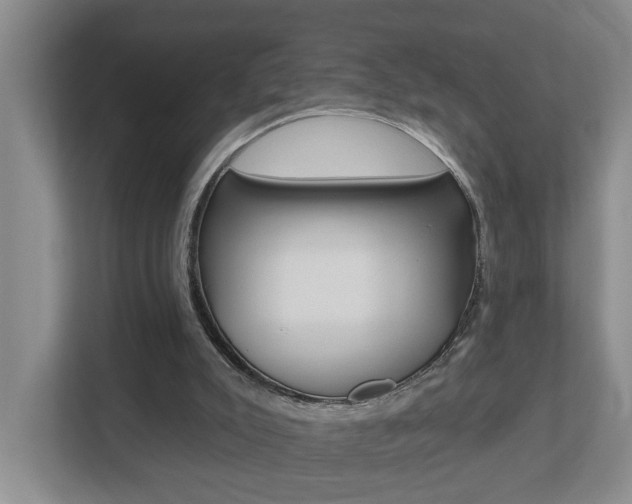 X0000112500007200908171020