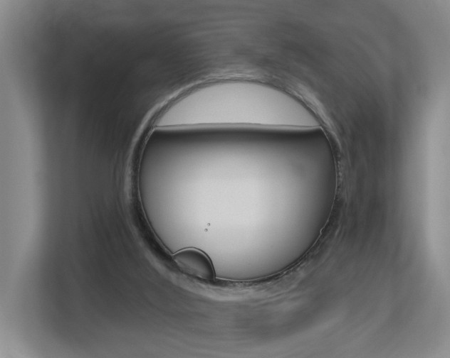 X0000112500012200908171020