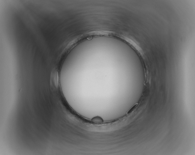 X0000112500013200908171020
