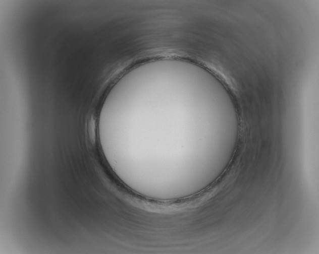 X0000112500014200908171020