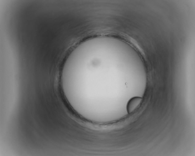 X0000112500018200908171020