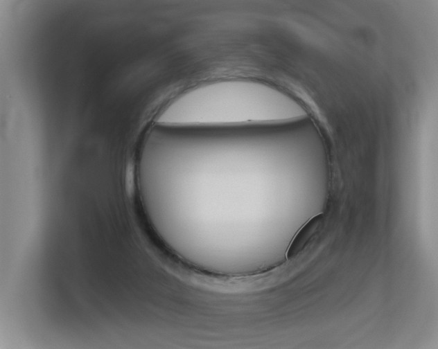 X0000112500019200908171020
