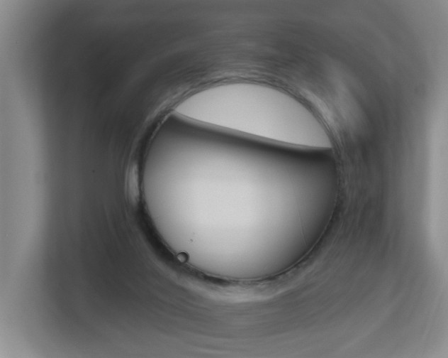 X0000112500020200908171020