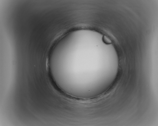 X0000112500024200908171020