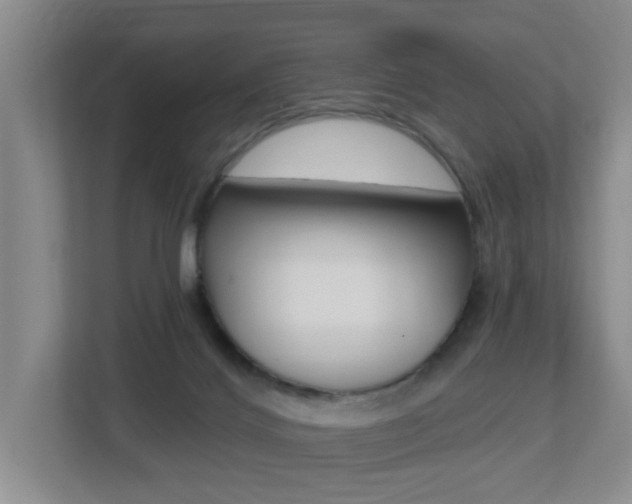 X0000112500028200908171020