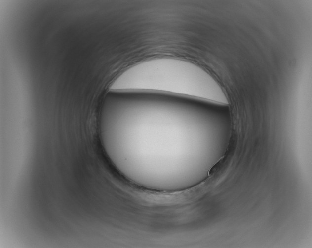 X0000112500036200908171020