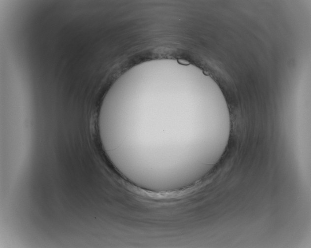 X0000112500038200908171020
