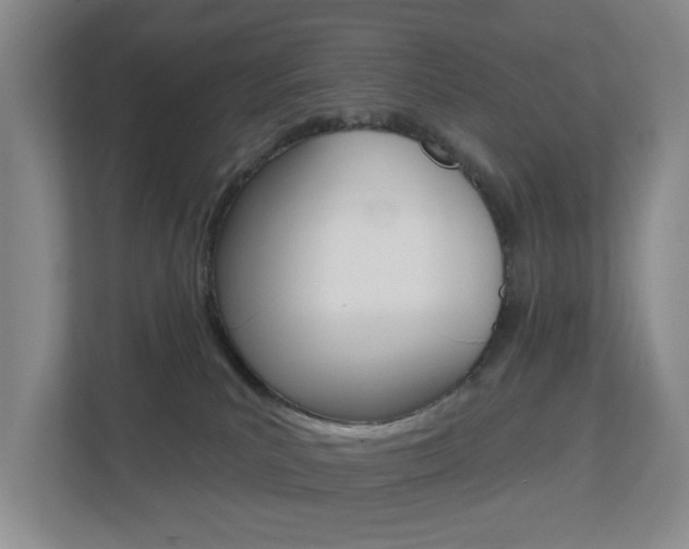 X0000112500039200908171020