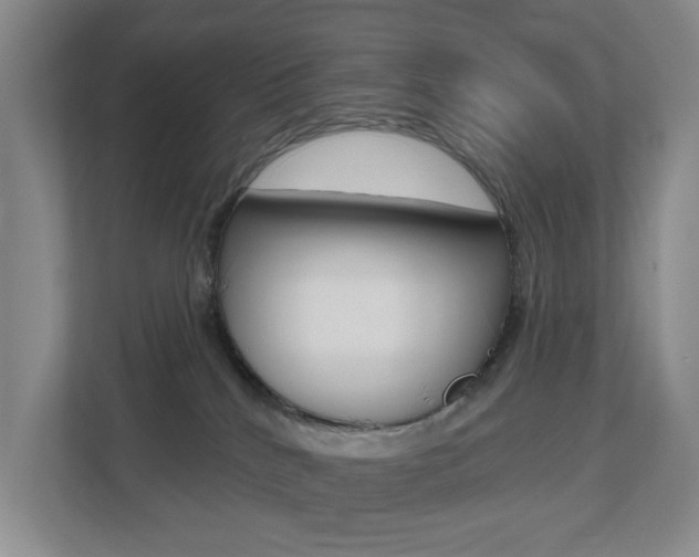 X0000112500040200908171020