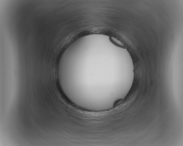 X0000112500044200908171020