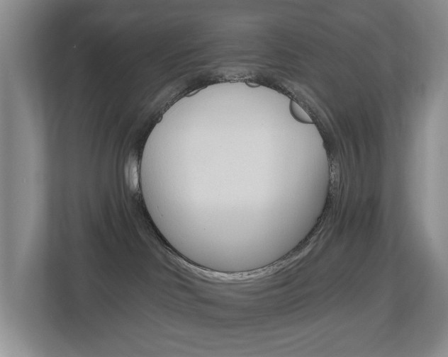 X0000112500046200908171020