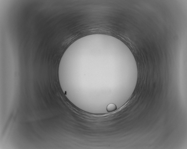 X0000112500047200908171020